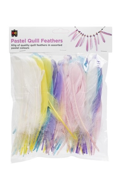 Asst Pastel Quill Feathers Pk60gm EC